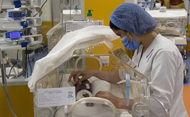 Dünyanın tek dokuzları: Herkes bebekleri görmek için akın ediyor 8