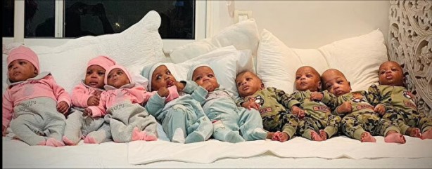 Dünyanın tek dokuzları: Herkes bebekleri görmek için akın ediyor 3