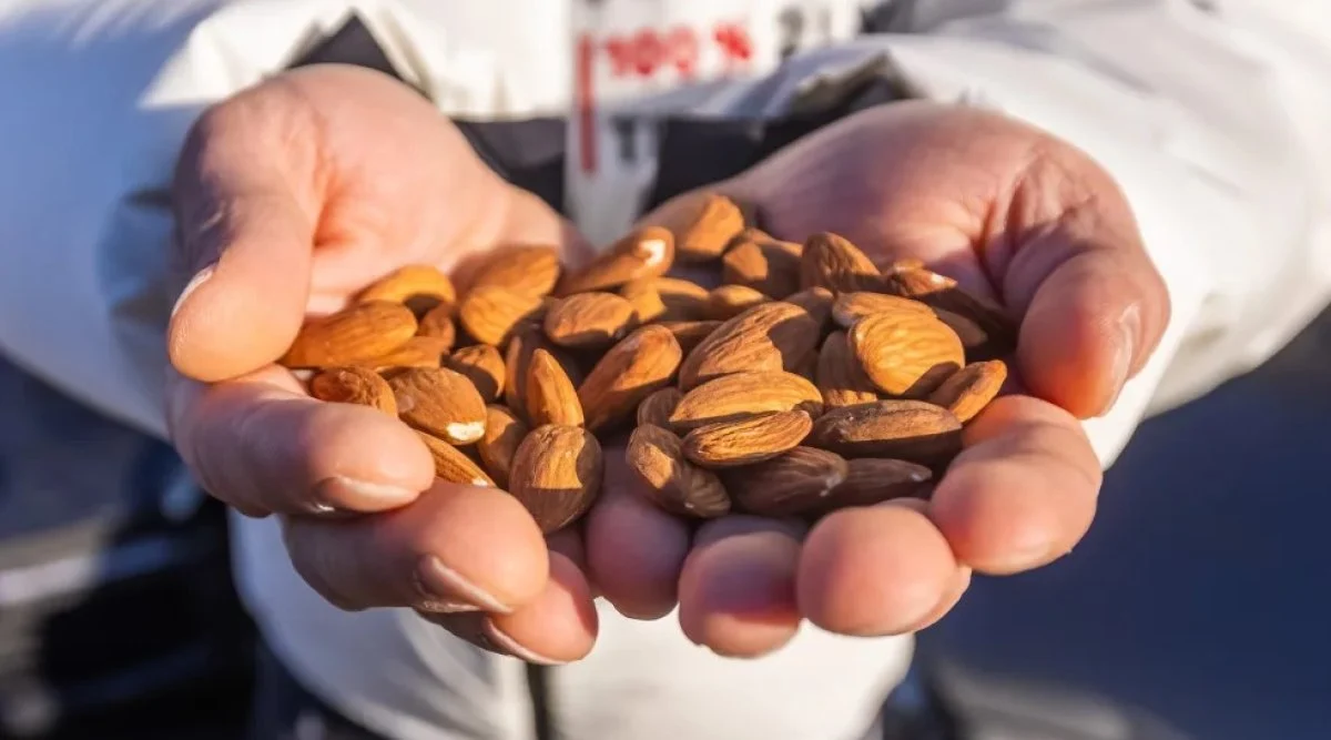 Almanya’nın loto milyoneri Kürşat, Malatya’da arsa satın aldı 3