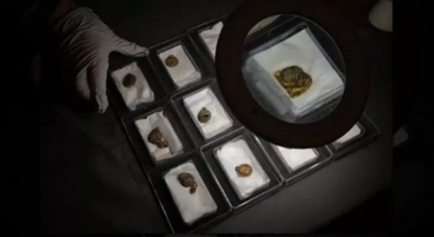 Petrol ararken altın yatağı bulundu! Derine indikçe resmen fışkırdı 4