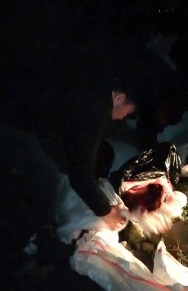 İstanbul'da mide bulandıran olay! Suçüstü yakalandılar 4