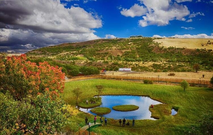 Türkiye'de hangi şehir neyi ile meşhur? 81 il dünyada böyle biliniyor 57