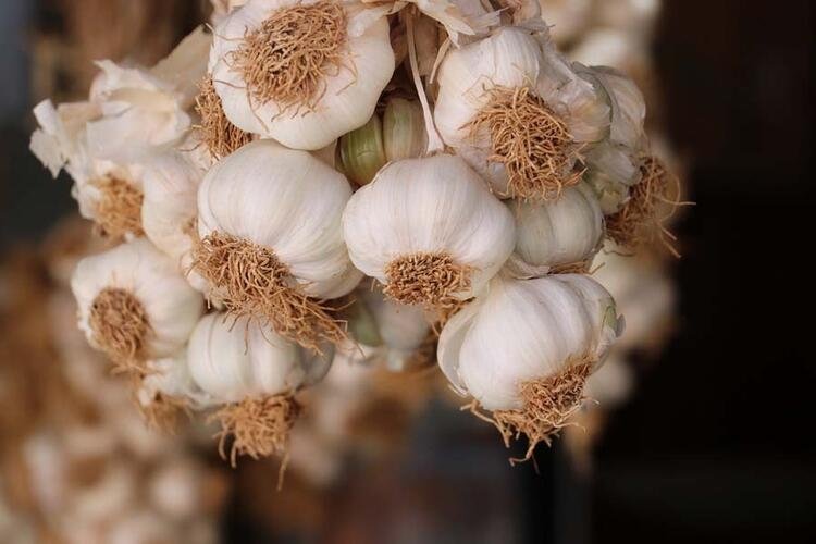 Türkiye'de hangi şehir neyi ile meşhur? 81 il dünyada böyle biliniyor 44