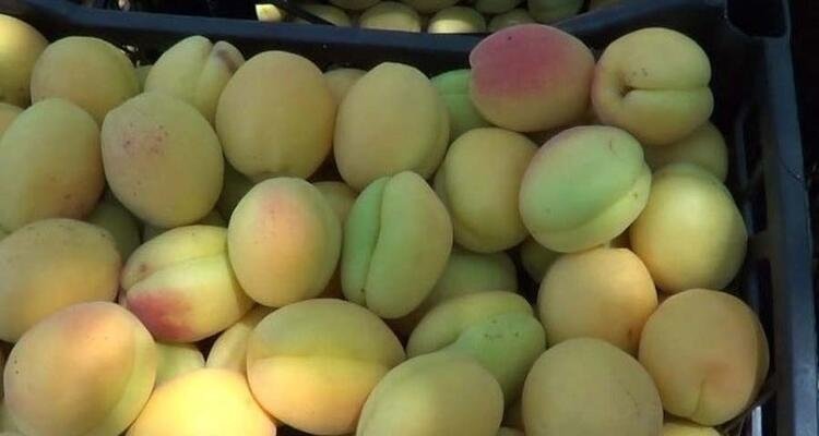 Türkiye'de hangi şehir neyi ile meşhur? 81 il dünyada böyle biliniyor 38