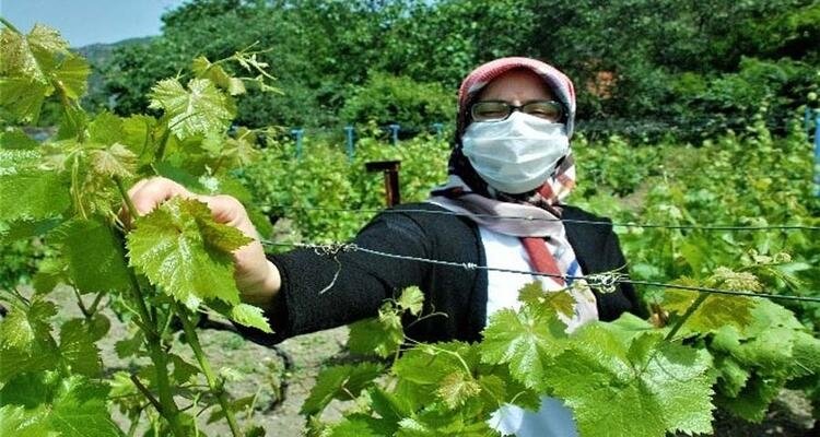 Türkiye'de hangi şehir neyi ile meşhur? 81 il dünyada böyle biliniyor 28