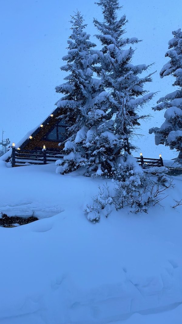 İsviçre değil Ordu 2