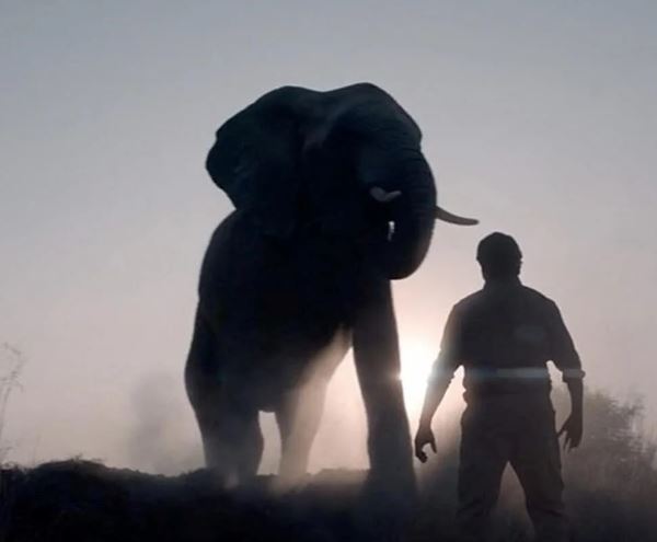 2023 Oscar adayları açıklandı işte 95. Oscar Ödülleri 11