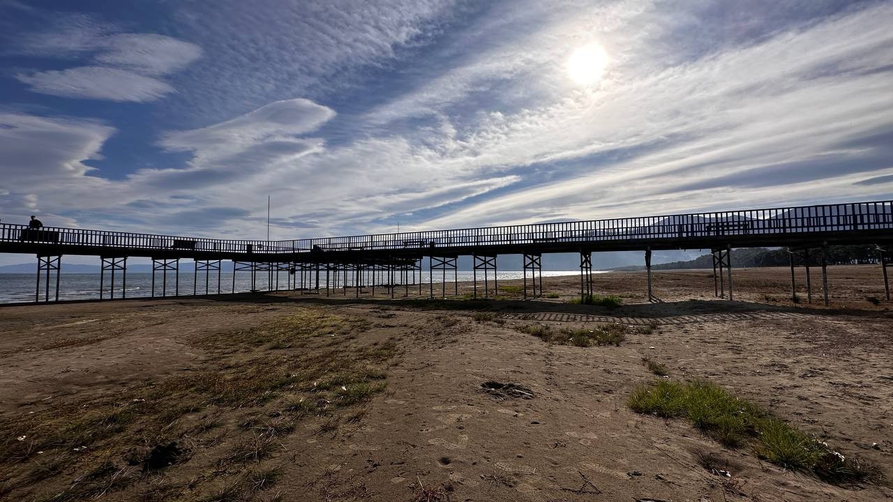 Görenleri üzen görüntü, İznik Gölü alarm verdi! 8