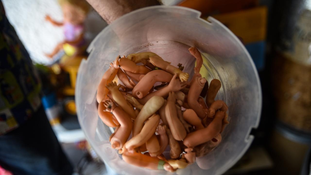 Kolombiya’daki “Oyuncak Hastanesi” 11