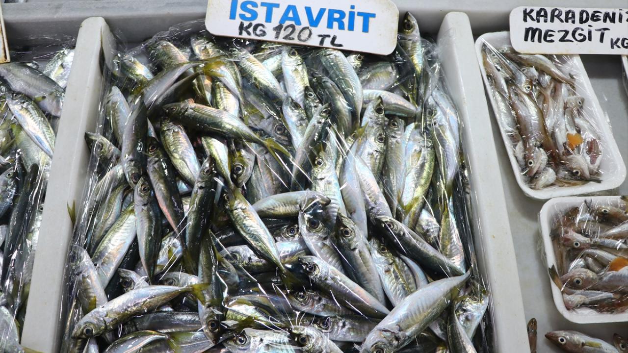 Tekirdağlı balıkçılar avın bollaşması için deniz suyunun soğumasını bekliyor 5