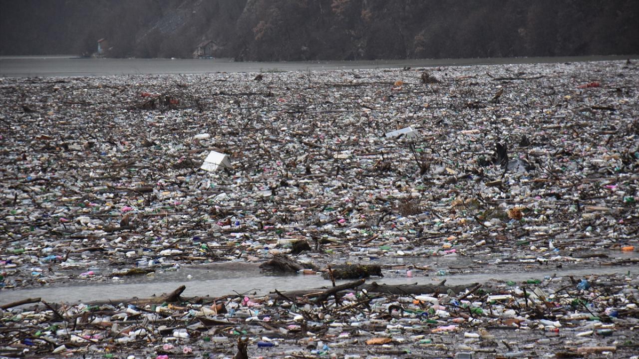 İnsanoğlu bunu da yaptı! 9