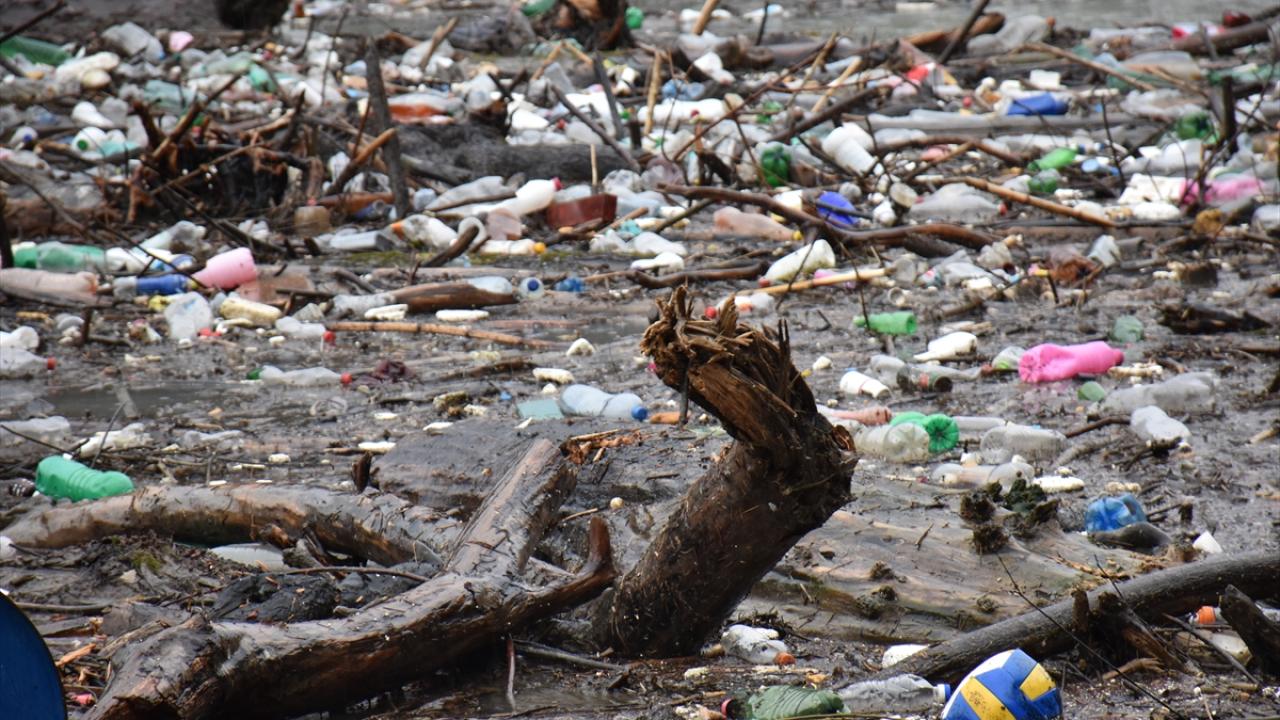 İnsanoğlu bunu da yaptı! 8