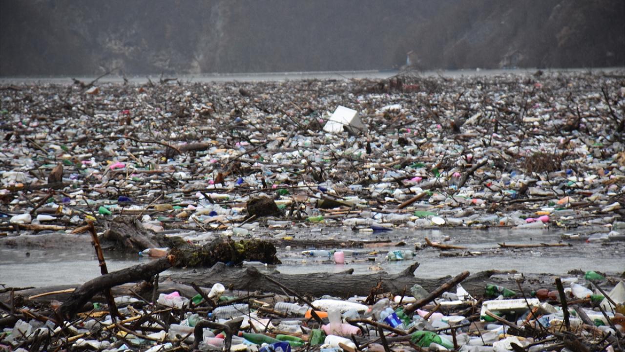 İnsanoğlu bunu da yaptı! 5