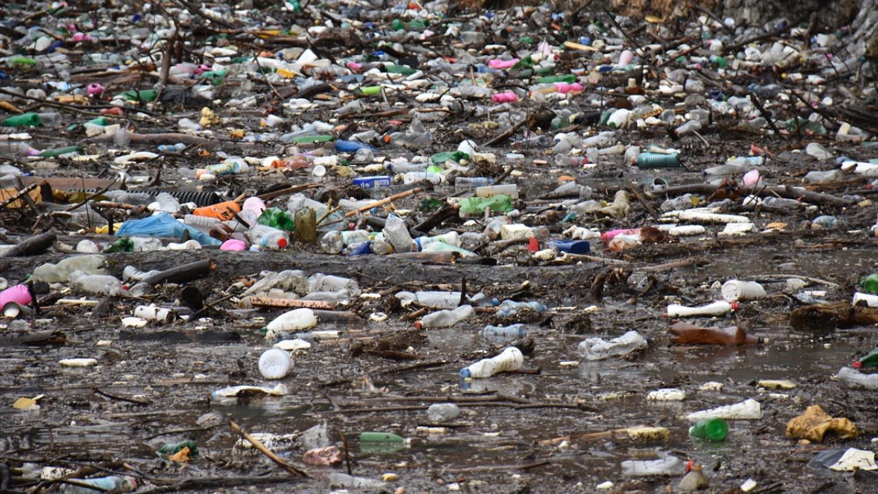 İnsanoğlu bunu da yaptı! 4