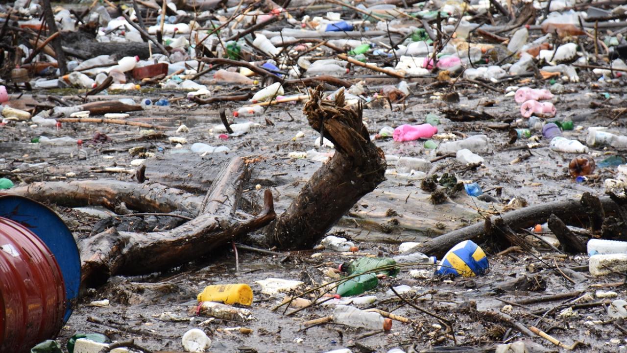 İnsanoğlu bunu da yaptı! 2