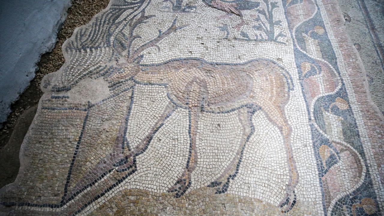 Tarihin yüzlerce yıllık tanığı mozaikler özenle gelecek kuşaklara aktarılıyor 19