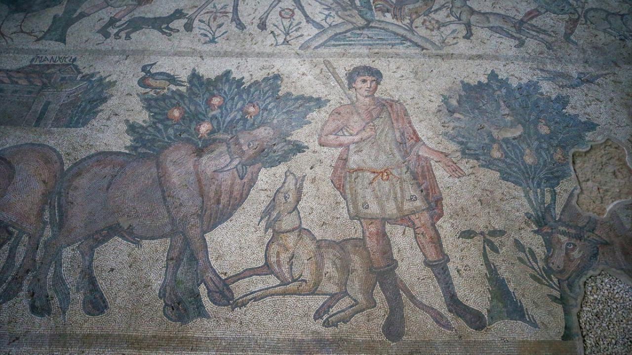 Tarihin yüzlerce yıllık tanığı mozaikler özenle gelecek kuşaklara aktarılıyor 20