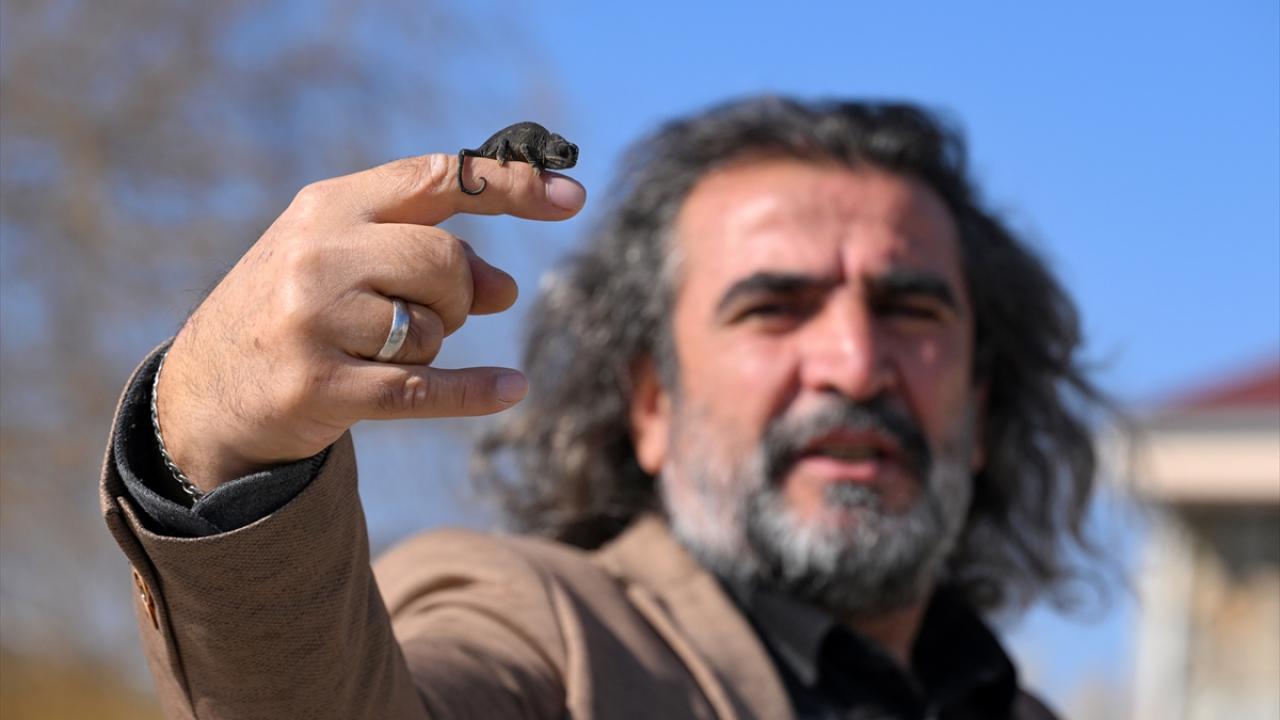 Van'da bitkin halde bulunan bukalemun korumaya alındı 8