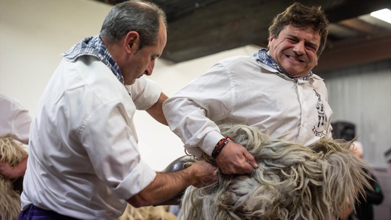 Koyun postu giydiler, kötülükleri kovdular... 14