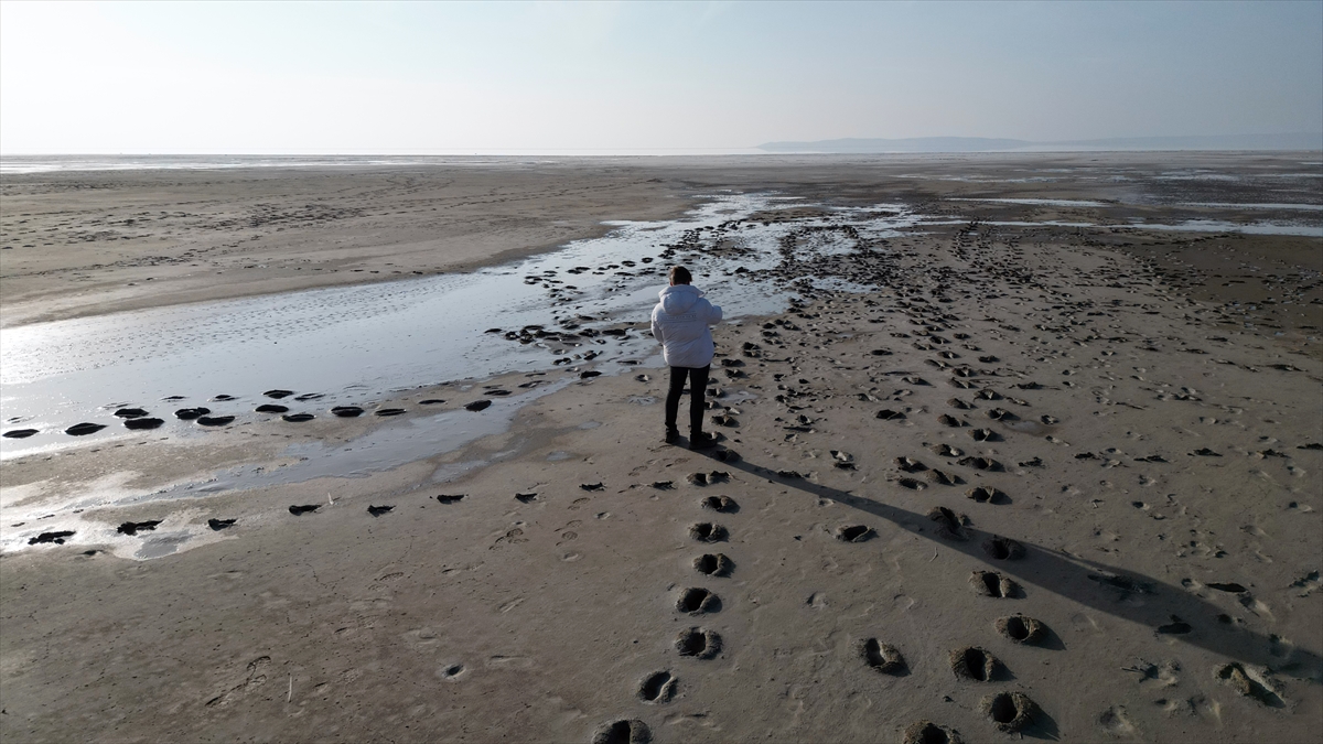 Tuz Gölü'nde kuraklık alarmı 6