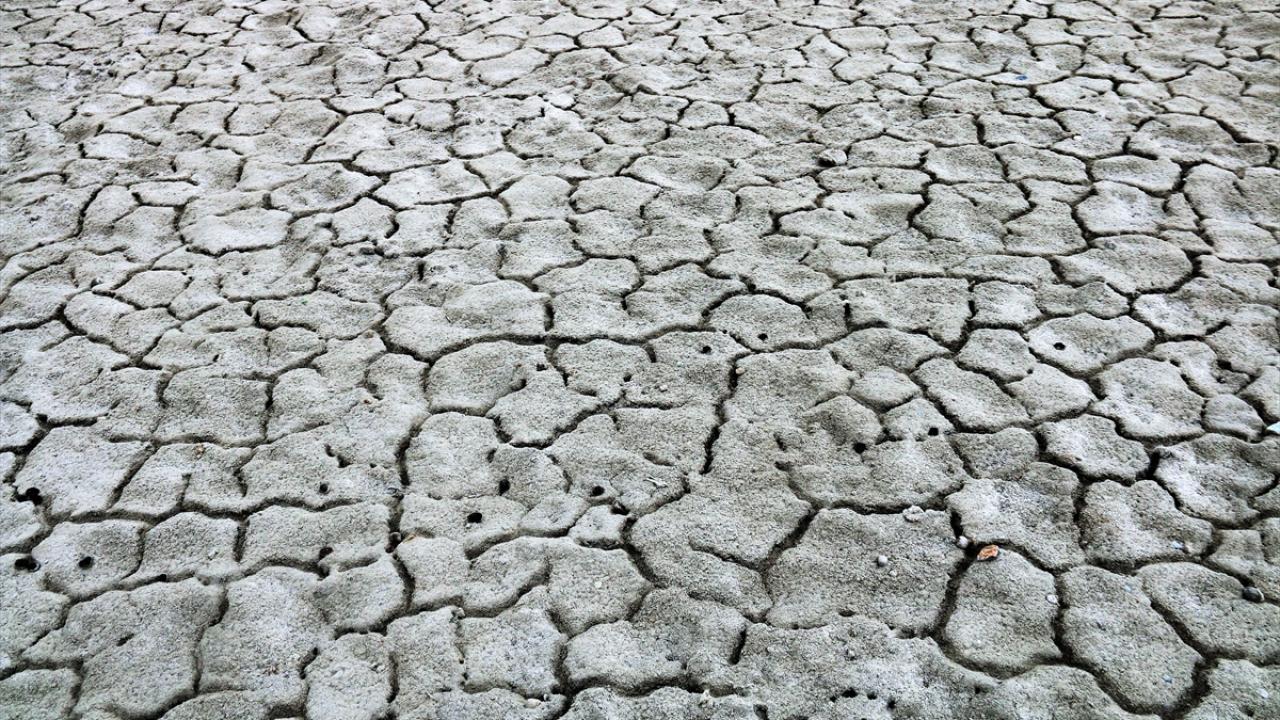 Tuz Gölü'nde kuraklık alarmı 14
