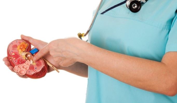 Tükettiğiniz anda böbrek taşına neden oluyor! Bu zararını bilmeden tüketiyoruz 1