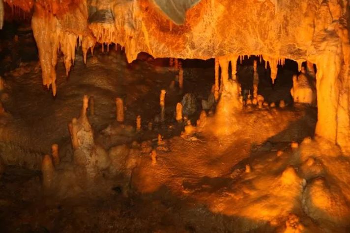 Ankara'da deniz çıktı! "Ciddi anlamda fırsat" 11