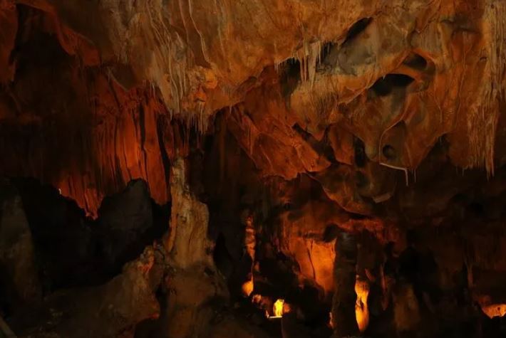 Ankara'da deniz çıktı! "Ciddi anlamda fırsat" 6