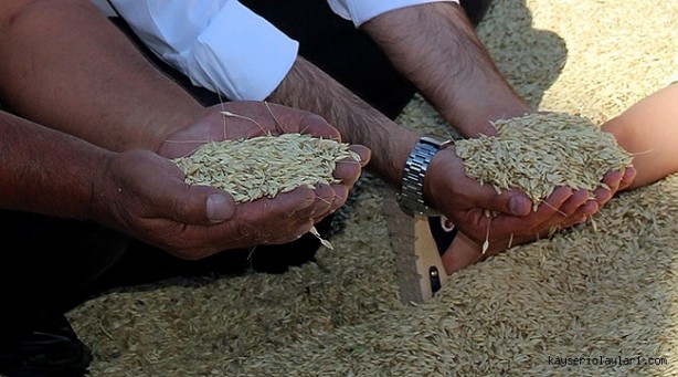 Öyle bir tohum ürettiler ki... Onlarca yıl sebze ve meyve verecek! Türkiye'ye tarihi müjde 16