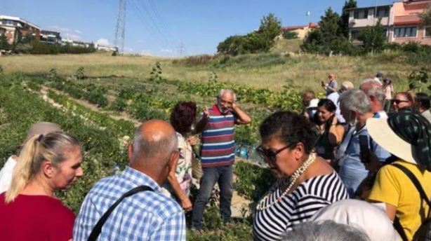 Öyle bir tohum ürettiler ki... Onlarca yıl sebze ve meyve verecek! Türkiye'ye tarihi müjde 12