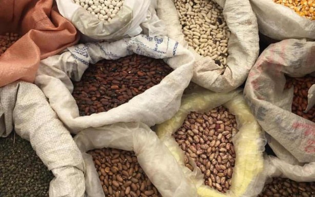 Öyle bir tohum ürettiler ki... Onlarca yıl sebze ve meyve verecek! Türkiye'ye tarihi müjde 1