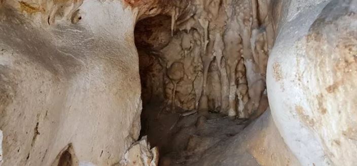 Ankara'da deniz çıktı! "Ciddi anlamda fırsat" 4