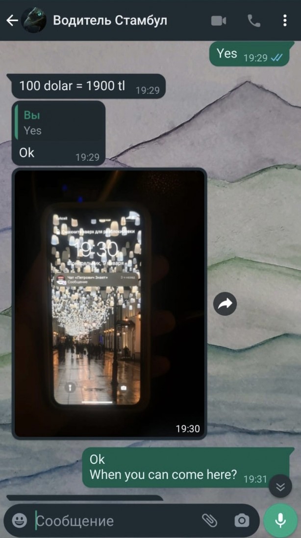 Taksiciden Rus turiste tepki çeken teklif: 100 dolar bana verirsen... 5