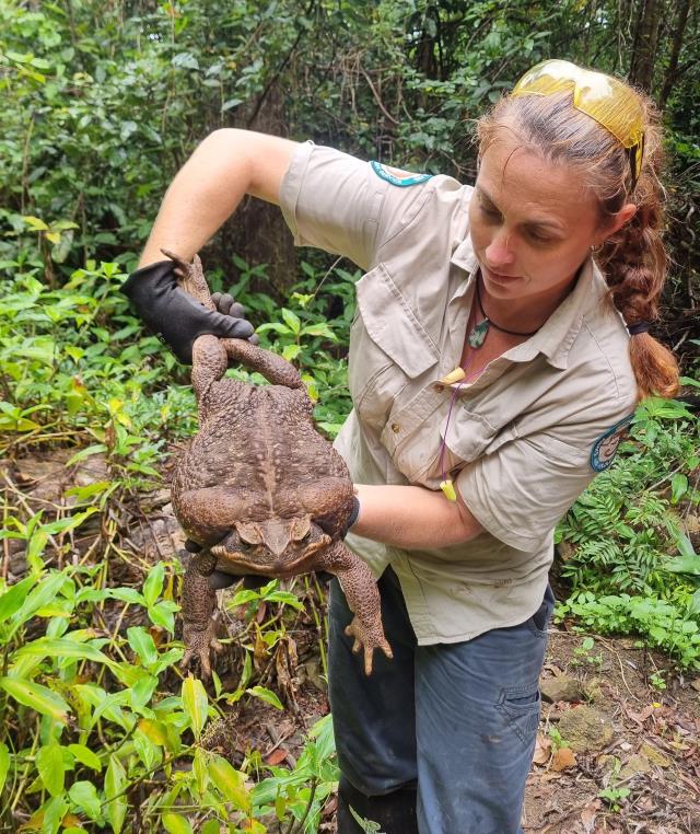 Ağzına sığdırabildiği her şeyi yiyor! İşte 2.7 kiloluk dev 4
