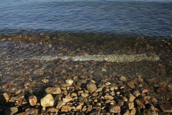 Göl suyunun çekilmesiyle ortaya çıktı! Bölgeye gelen ekipler hemen koruma altına aldı 3