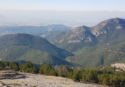 'O dağın altında altın rezervi var, altın fışkırıyor' diyerek yetkililere seslendi: Cinler koruyor! Giriş kapıları... 3