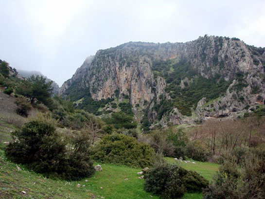 'O dağın altında altın rezervi var, altın fışkırıyor' diyerek yetkililere seslendi: Cinler koruyor! Giriş kapıları... 2