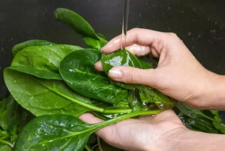 Sağlıklı diyerek yiyoruz ama yanlış tüketimi ölümcül olabiliyor! Resmen zehre dönüşüyor 2