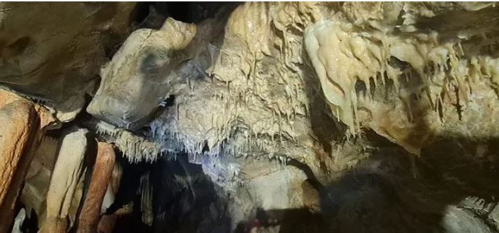 Ankara'da deniz çıktı! "Ciddi anlamda fırsat" 2