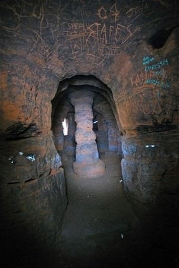 Tavşan yuvası sandığı delikten bakın ne çıktı! İnanılmaz görüntüler… 4