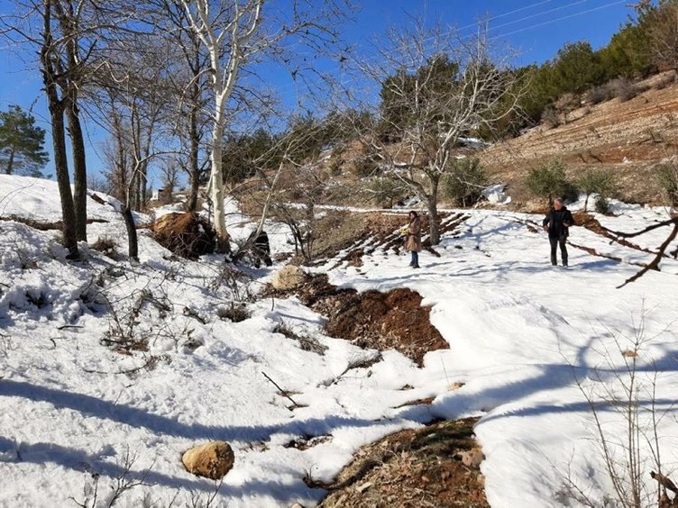 Depremin şiddeti 11'e kadar çıktı çarpıcı deprem açıklaması: 'Buranın özel bir yeri var' 15