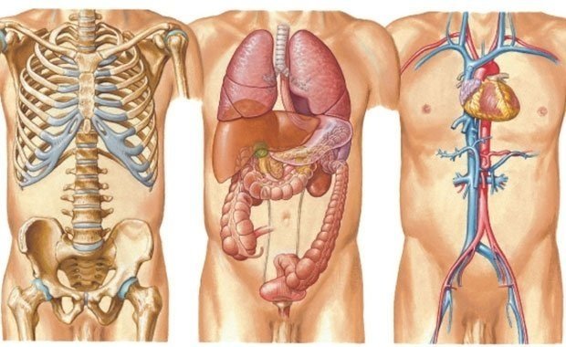 Kehanet denince akla gelen ilk isim Baba Vanga’dan korkutan kehanetler… 20