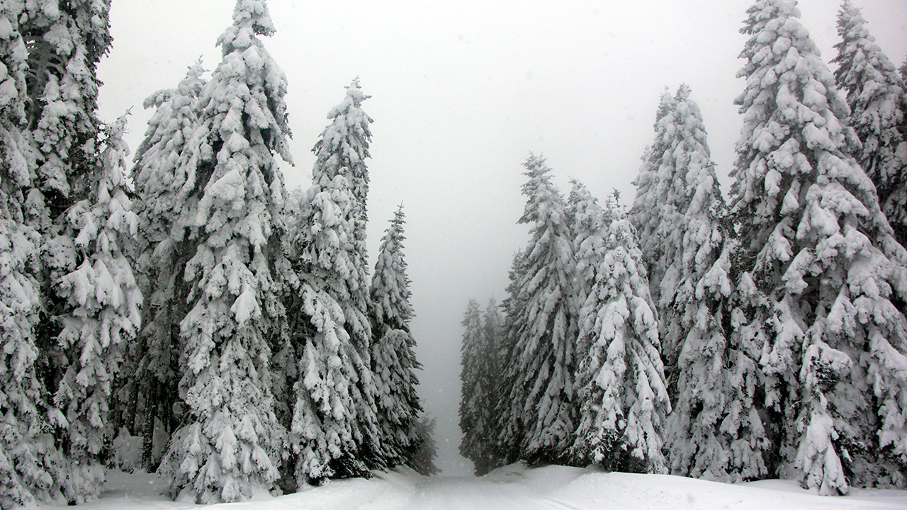 Meteoroloji "sarı" kodla uyardı: 10 ilde yoğun kar bekleniyor 1