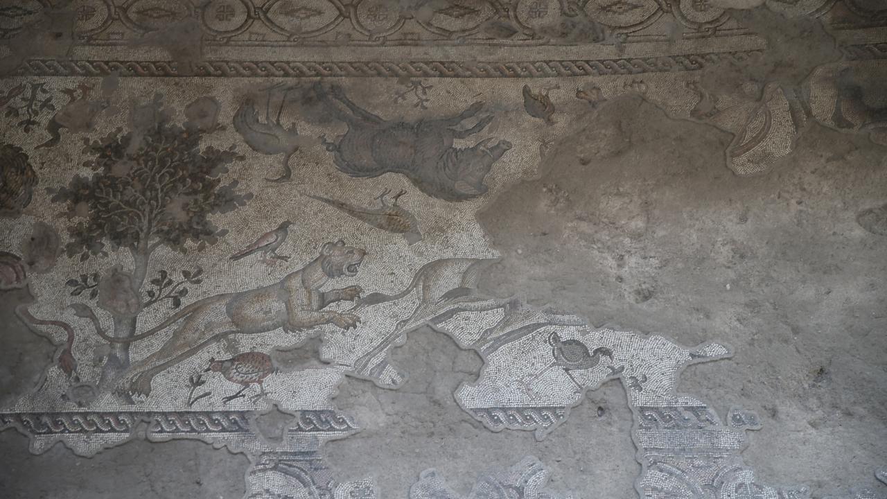 Hatay'da sergilenen mozaikler tarihe ışık tutuyor 6