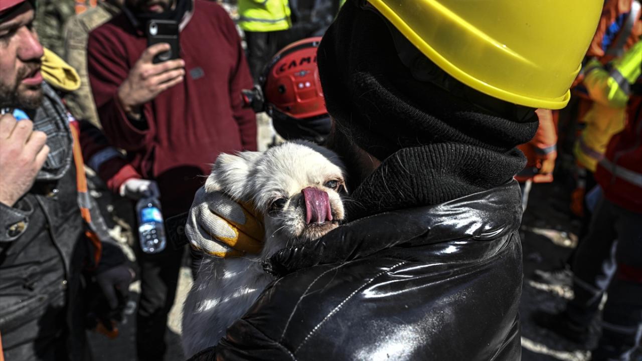 Enkaz altındaki kadın, köpeğinin havlaması sayesinde depremden 103 saat sonra kurtarıldı 8