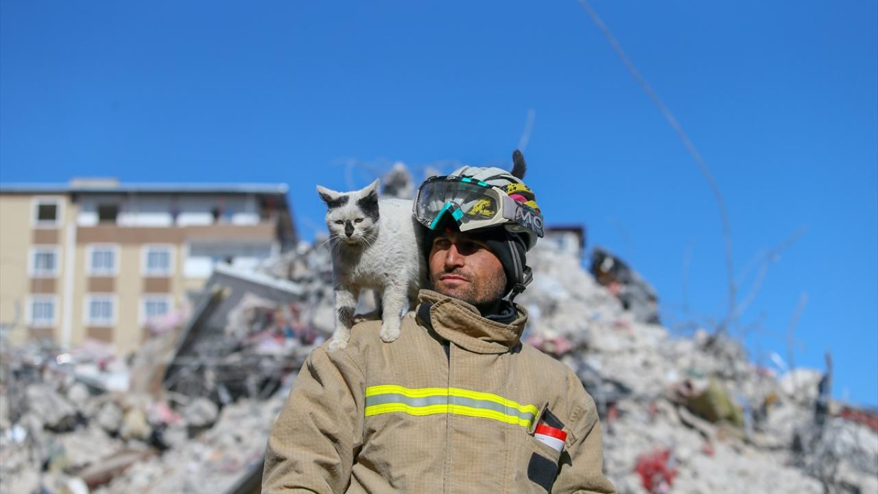 Göçükten çıkarılarak "Enkaz" adı verilen kedi, arama kurtarma ekibinin maskotu oldu 9