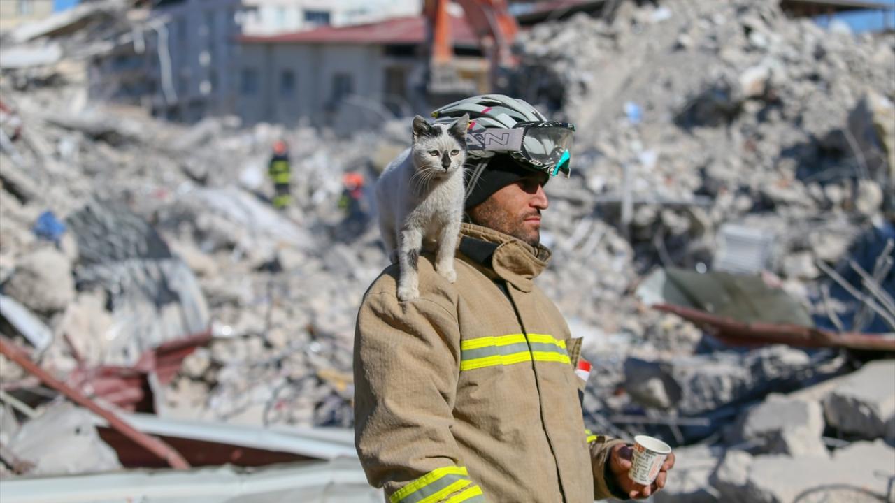 Göçükten çıkarılarak "Enkaz" adı verilen kedi, arama kurtarma ekibinin maskotu oldu 10