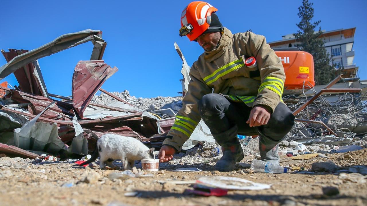 Göçükten çıkarılarak "Enkaz" adı verilen kedi, arama kurtarma ekibinin maskotu oldu 11