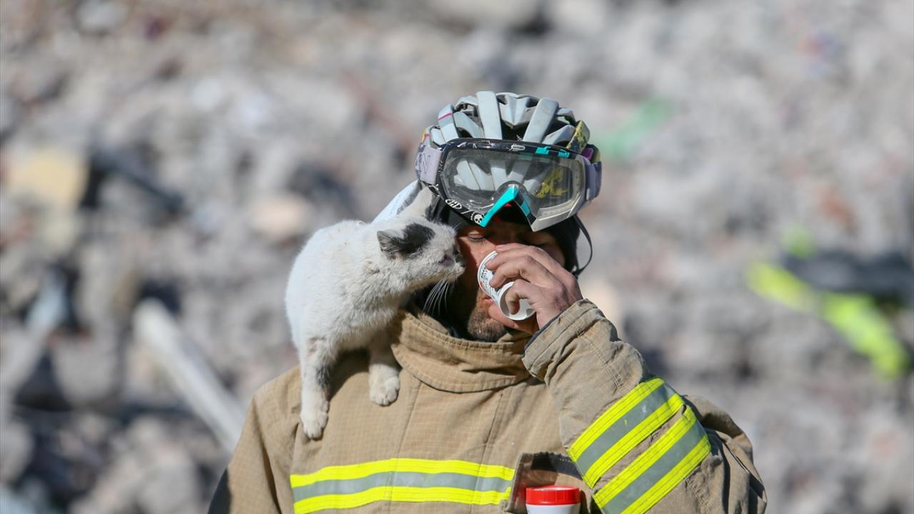 Göçükten çıkarılarak "Enkaz" adı verilen kedi, arama kurtarma ekibinin maskotu oldu 7