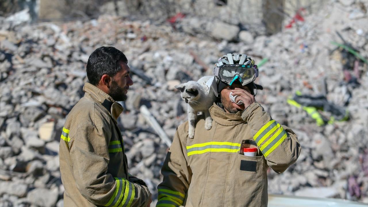 Göçükten çıkarılarak "Enkaz" adı verilen kedi, arama kurtarma ekibinin maskotu oldu 8